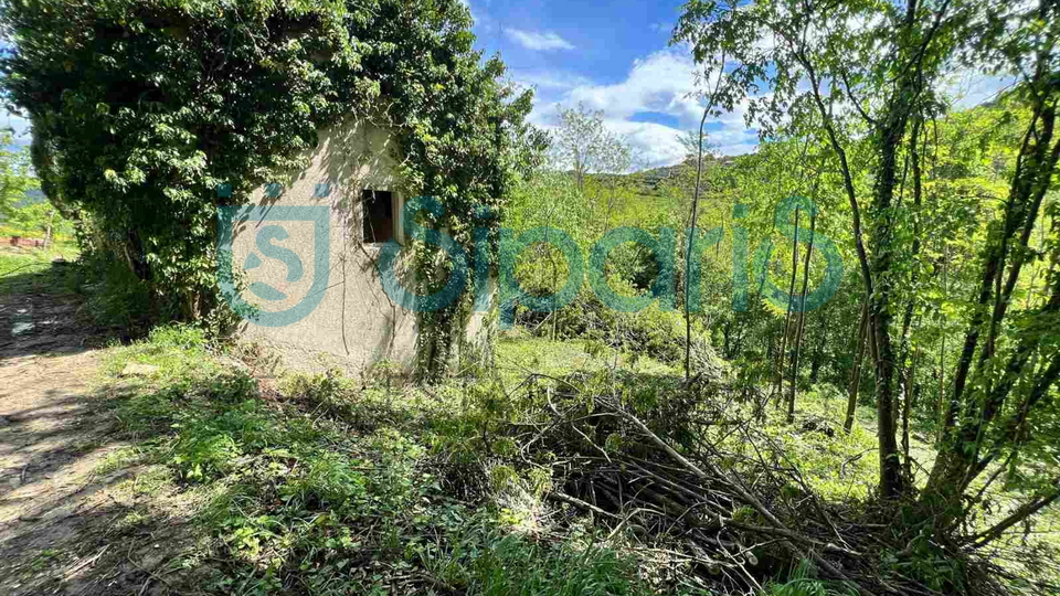 Haus, 185 m2, Verkauf, Motovun - Kaldir
