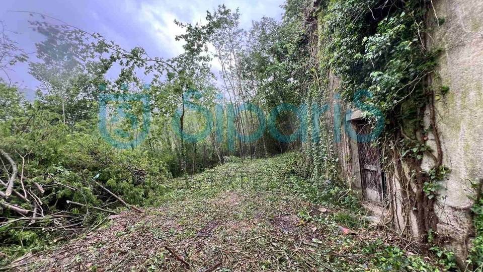 Haus, 185 m2, Verkauf, Motovun - Kaldir
