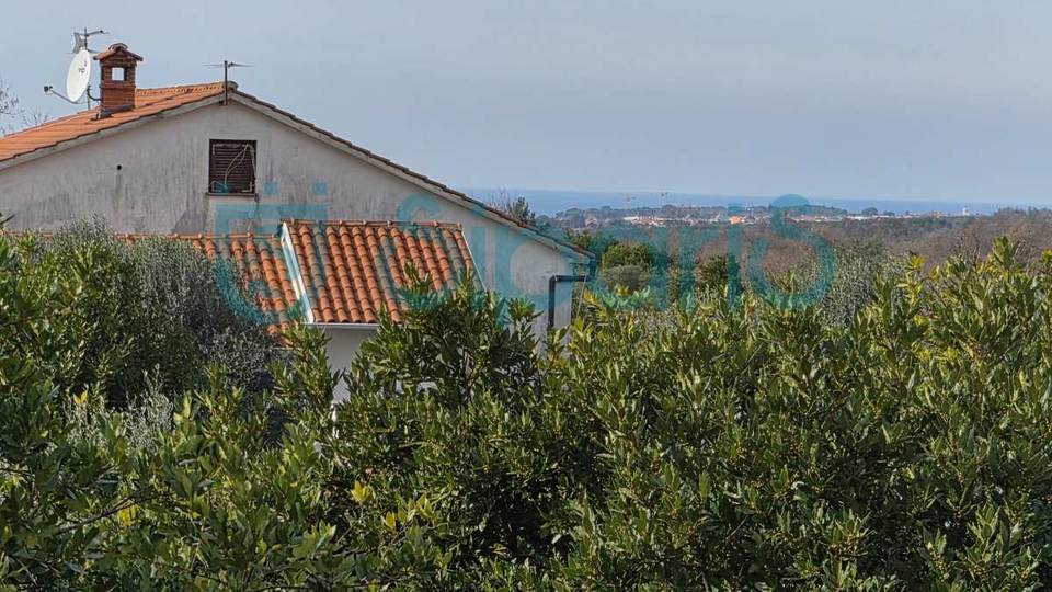 UMAG MURINE DVA STANA SA OKU&Cacute;NICOM I POGLEDOM NA MORE