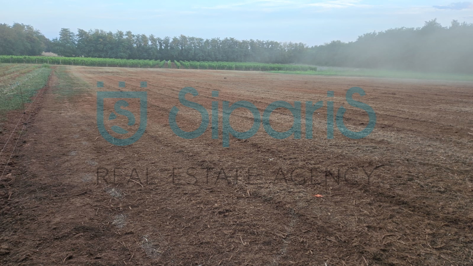 Land&comma; 4412 m2&comma; For Sale&comma; Radini