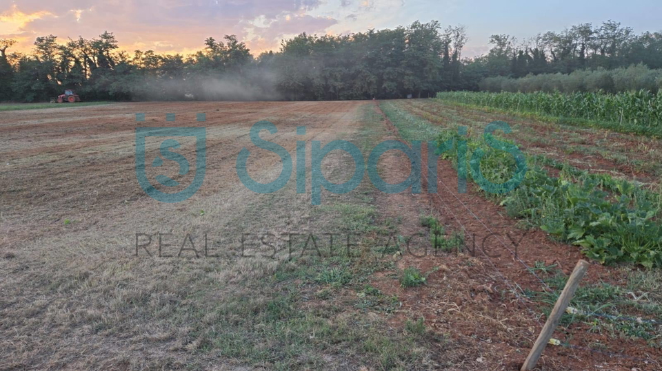 Land&comma; 4412 m2&comma; For Sale&comma; Radini