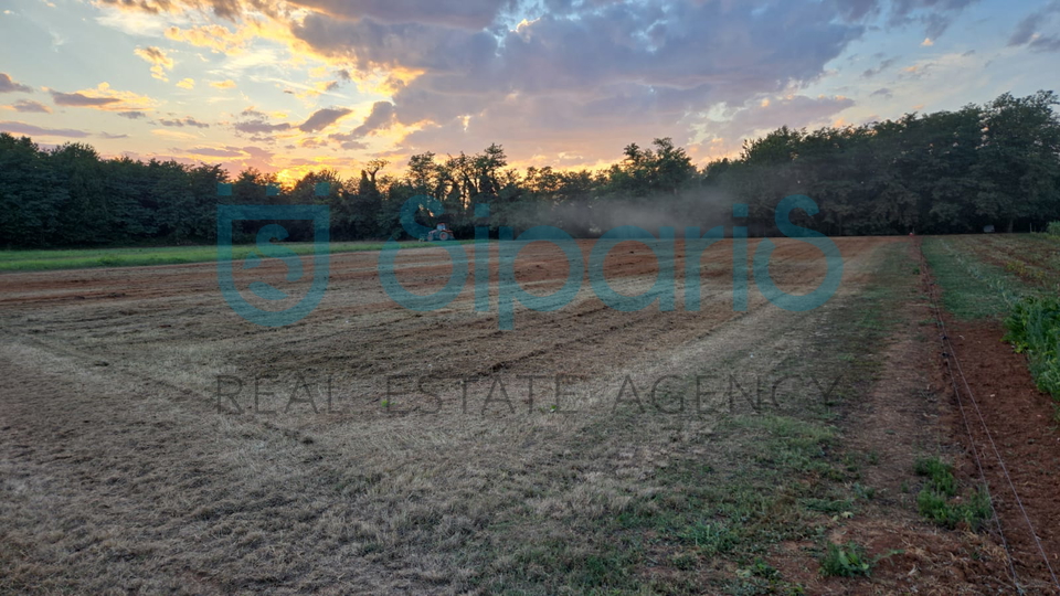 Land&comma; 4412 m2&comma; For Sale&comma; Radini