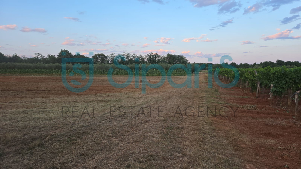 Land&comma; 4412 m2&comma; For Sale&comma; Radini