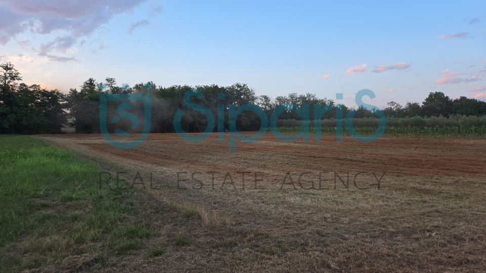 Land&comma; 4412 m2&comma; For Sale&comma; Radini