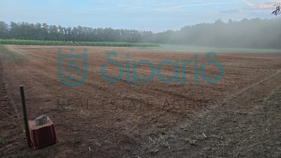 Land&comma; 4412 m2&comma; For Sale&comma; Radini