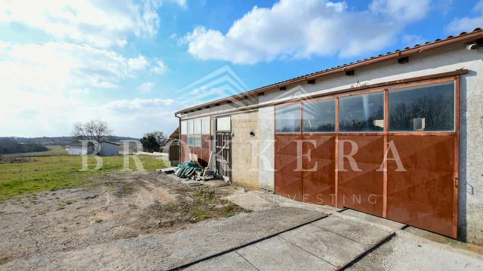 HAUS MIT GESCHÄFTSRAUM, VIŠNJAN, 270 m2