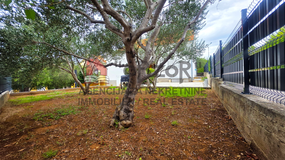 NOVIGRAD - detached high ground-floor house