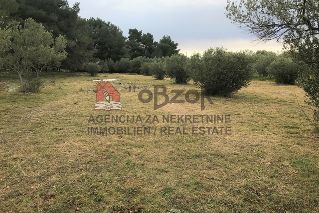 Zemljišče, 2126 m2, Prodaja, Biograd na Moru