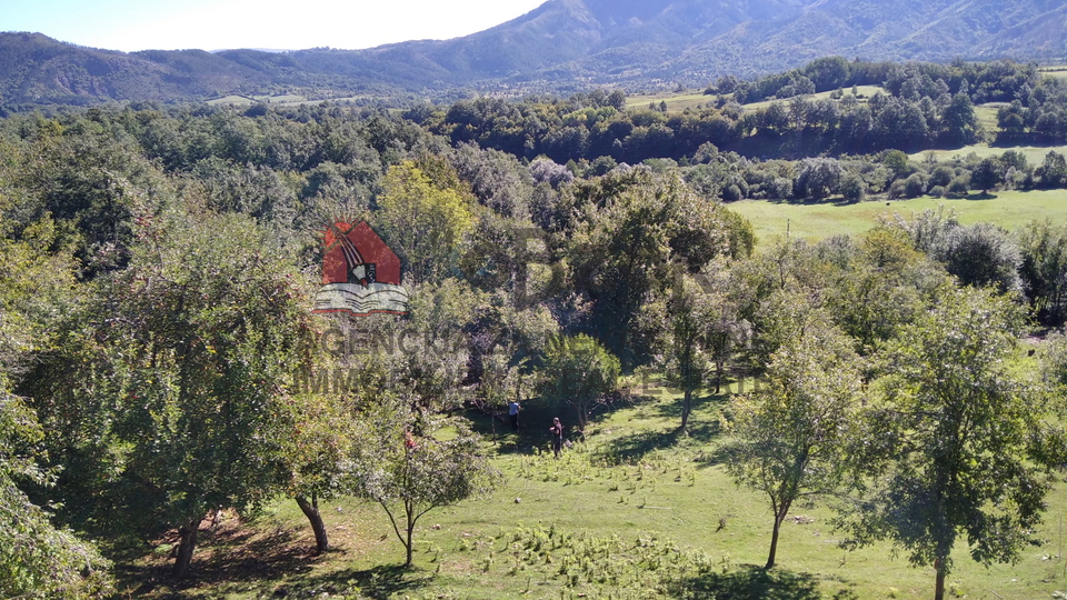 Hiša, 135 m2, Prodaja, Gračac - Donji Srb