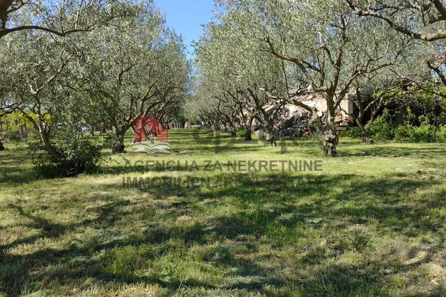 Zemljišče, 3021 m2, Prodaja, Donja Jagodnja
