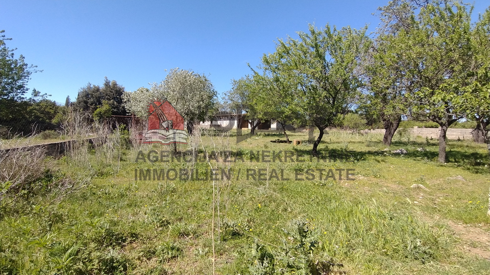 Land, 3021 m2, For Sale, Donja Jagodnja