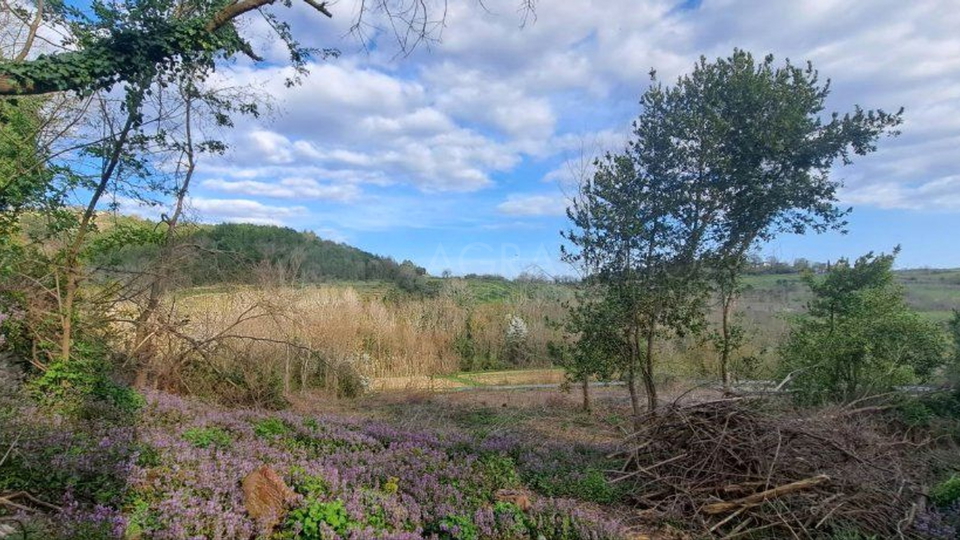 BUJE-KRASICA &ndash; ISTRISCHE STEINH&Auml;USER MIT IDEE PROJEKT UND GROSSEM POTENZIAL