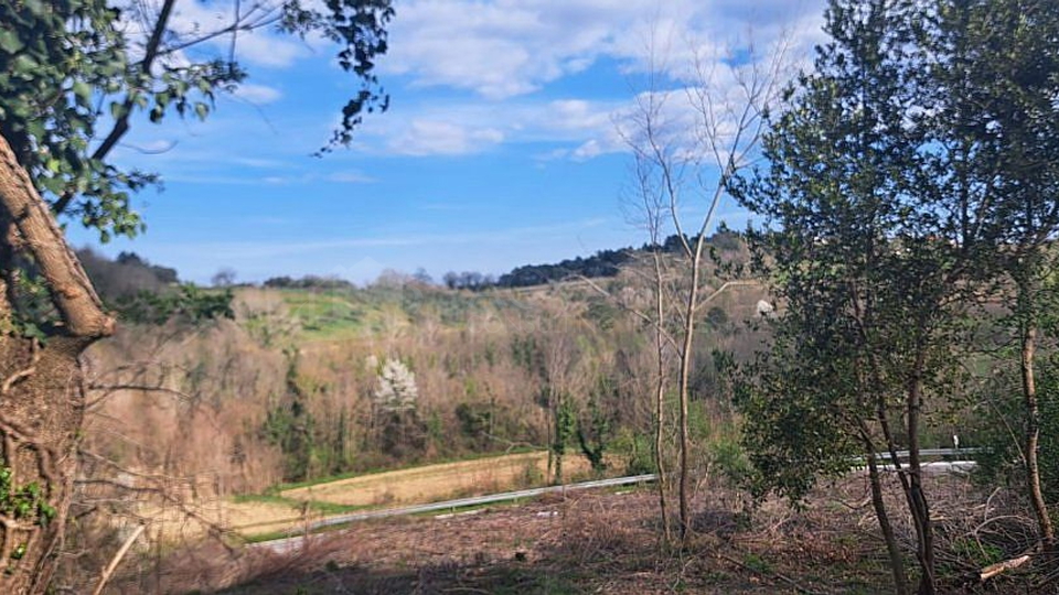 BUJE-KRASICA &ndash; ISTRISCHE STEINH&Auml;USER MIT IDEE PROJEKT UND GROSSEM POTENZIAL