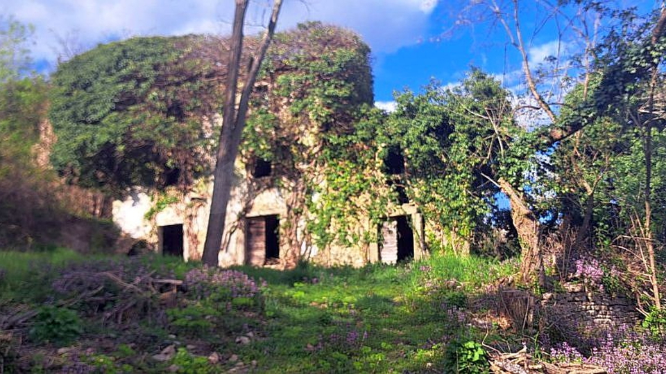 BUJE-KRASICA &ndash; ISTRISCHE STEINH&Auml;USER MIT IDEE PROJEKT UND GROSSEM POTENZIAL