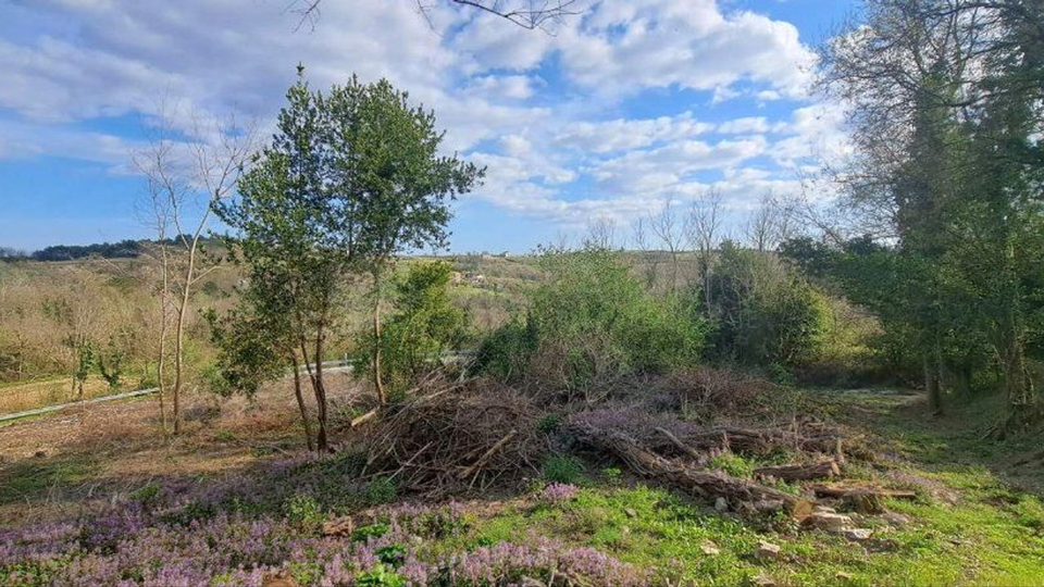 BUJE-KRASICA &ndash; ISTRISCHE STEINH&Auml;USER MIT IDEE PROJEKT UND GROSSEM POTENZIAL