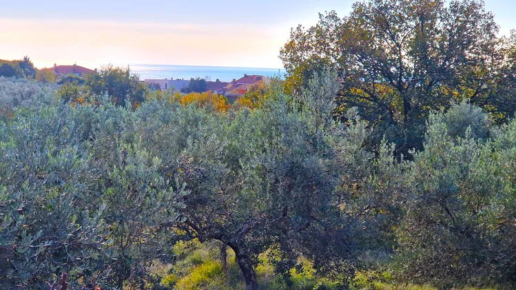 UMAG &ndash; ZAMBRATIJA &ndash; DETACHED HOUSE ON A 707 m&sup2; PLOT &ndash; 800 M FROM THE SEA