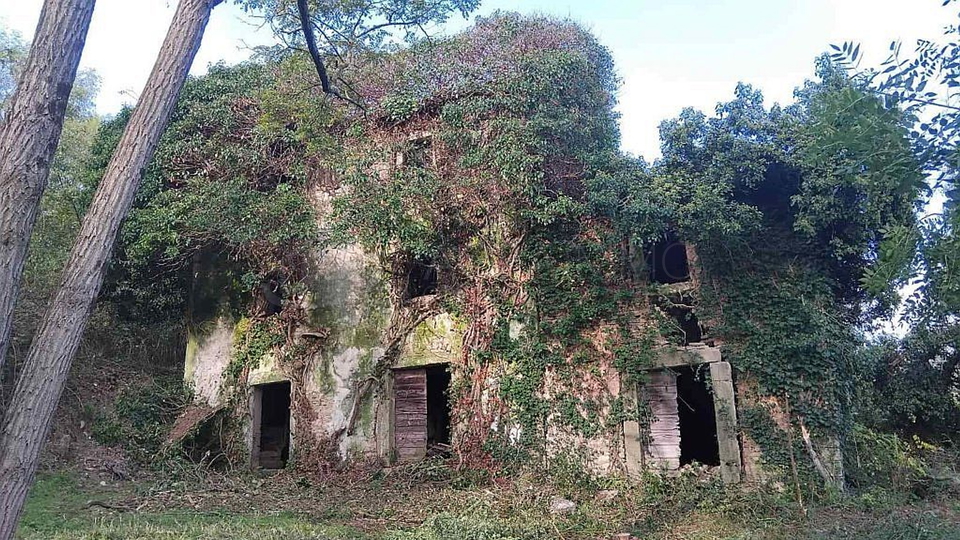 BUJE-KRASICA &ndash; ISTRISCHE STEINH&Auml;USER MIT IDEE PROJEKT UND GROSSEM POTENZIAL