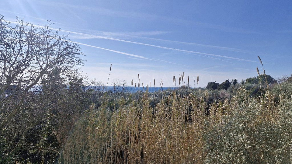 UMAG-ZAMBRATIJA - GERÄUMIGE UND ATTRAKTIVE WOHNUNG AN EINEM IDEALEN STANDORT MIT MEERBLICK