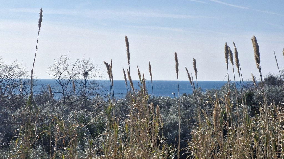 UMAG-ZAMBRATIJA - GERÄUMIGE UND ATTRAKTIVE WOHNUNG AN EINEM IDEALEN STANDORT MIT MEERBLICK