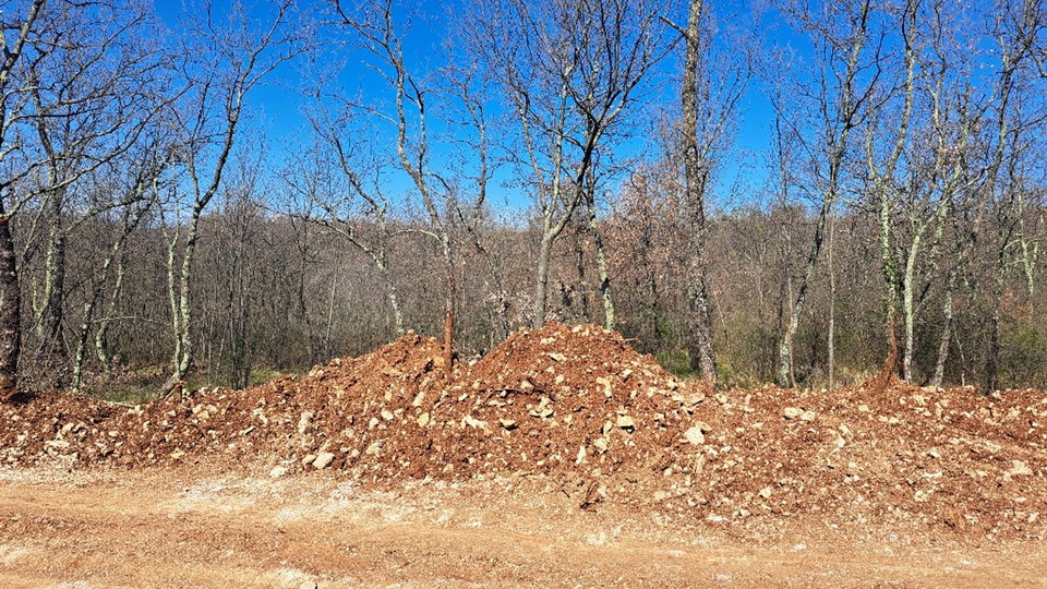 BUJE-KAŠTEL-GRAĐEVINSKO ZEMLJIŠTE S NEVJEROJATNIM POTENCIJALOM