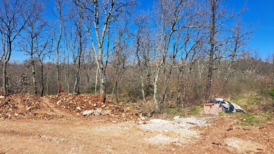 BUJE-KAŠTEL-GRAĐEVINSKO ZEMLJIŠTE S NEVJEROJATNIM POTENCIJALOM