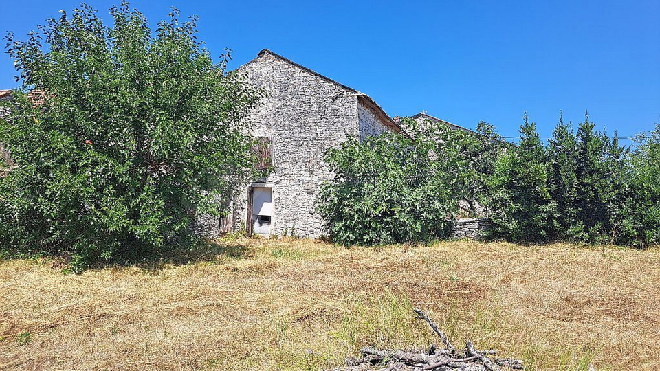 UMAG-STARA KAMNITA HI&Scaron;A IZ ISTRE-TRADICIJA-&Ccaron;AR-NALO&Zcaron;BA