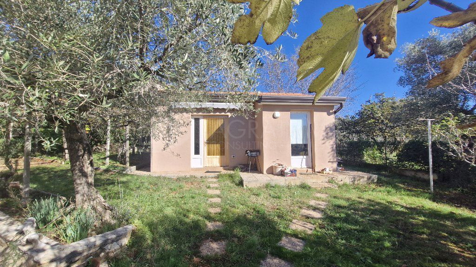 UMAG – LOVREČICA – KUĆA NA IZVRSNOJ LOKACIJI, ŠETNJOM DO MORA I PLAŽE