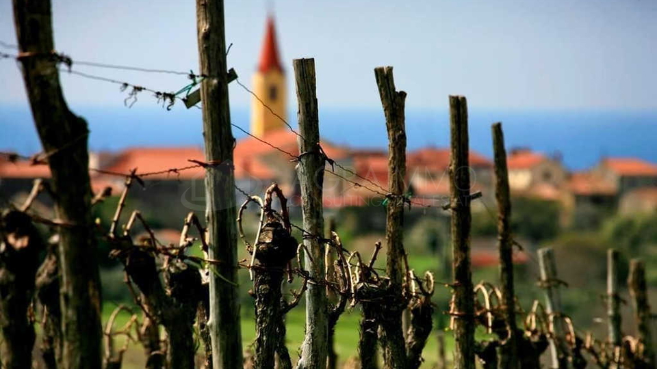 BRTONIGLA &ndash; GRA&Dstrok;EVINSKA ZEMLJI&Scaron;TA NA MIRNOJ LOKACIJI S VELIKIM POTENCIJALOM