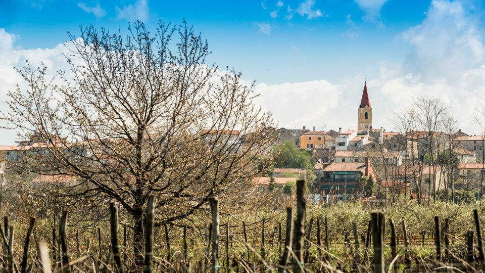 BRTONIGLA &ndash; GRA&Dstrok;EVINSKA ZEMLJI&Scaron;TA NA MIRNOJ LOKACIJI S VELIKIM POTENCIJALOM