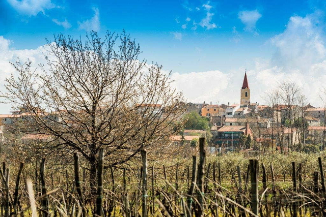 BRTONIGLA – GRAĐEVINSKA ZEMLJIŠTA NA MIRNOJ LOKACIJI S VELIKIM POTENCIJALOM