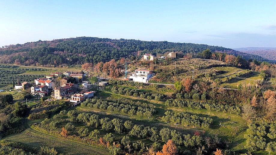 BUJE-KRASICA-OAZA LUKSUZA IN ZASEBNOSTI V SRCU ZAHODNE ISTRE