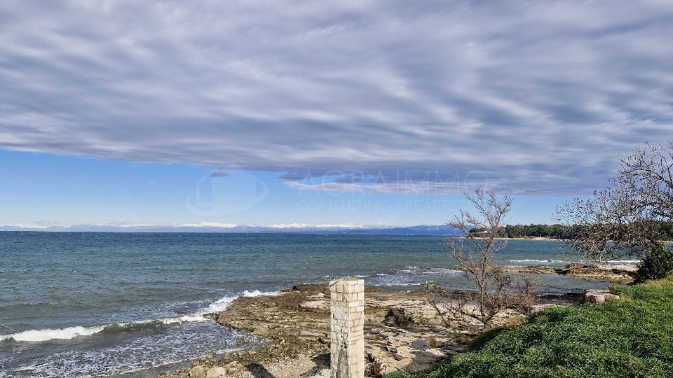 UMAG - APARTMENT - THE PERFECT PROPERTY FOR YOUR NEW HOME