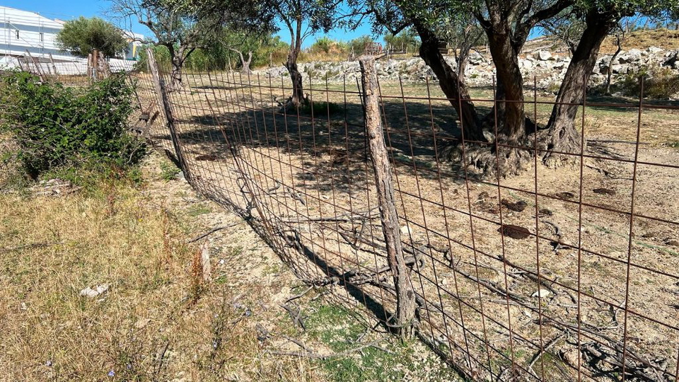 Terreno&comma; 8500 m2&comma; Vendita&comma; Buje - Krasica