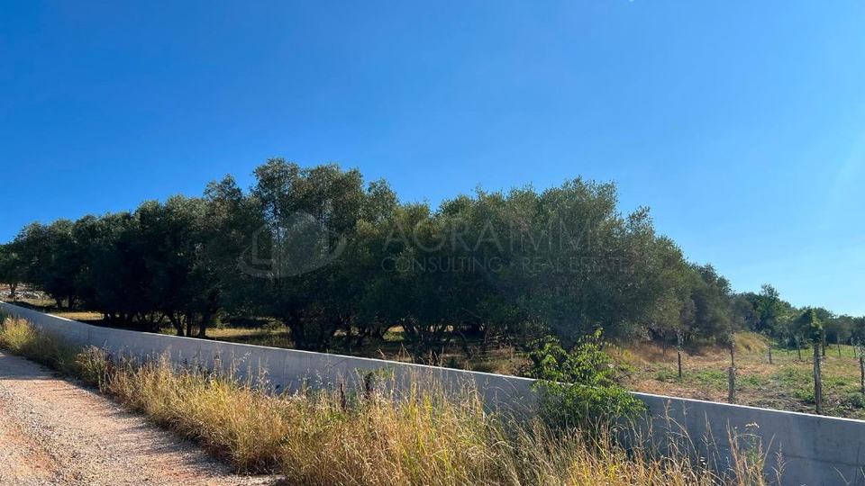 Terreno&comma; 8500 m2&comma; Vendita&comma; Buje - Krasica