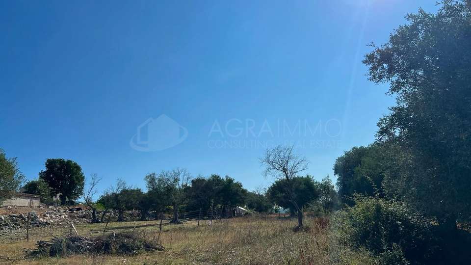 Terreno&comma; 8500 m2&comma; Vendita&comma; Buje - Krasica