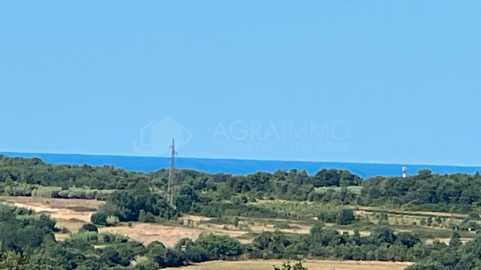 Terreno&comma; 8500 m2&comma; Vendita&comma; Buje - Krasica
