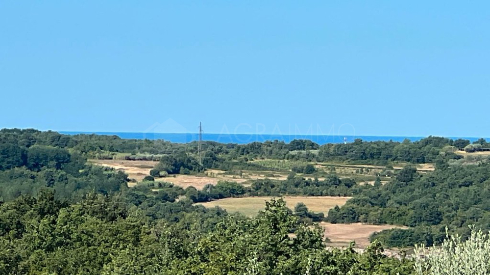 Terreno&comma; 8500 m2&comma; Vendita&comma; Buje - Krasica