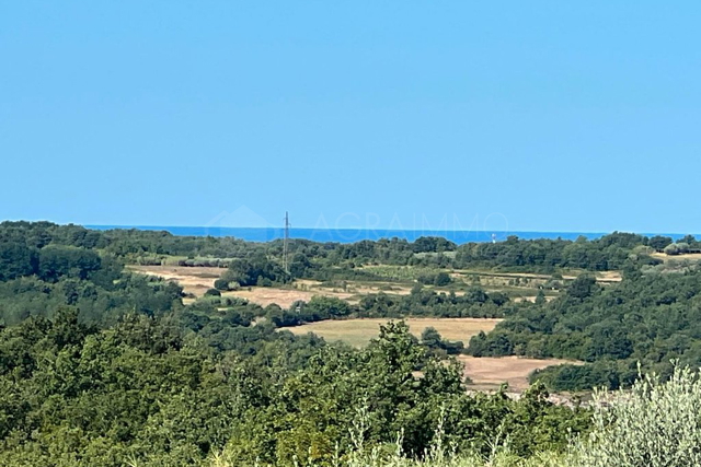 Terreno, 8500 m2, Vendita, Buje - Krasica