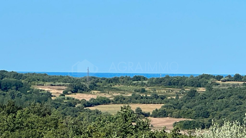 Terreno&comma; 8500 m2&comma; Vendita&comma; Buje - Krasica