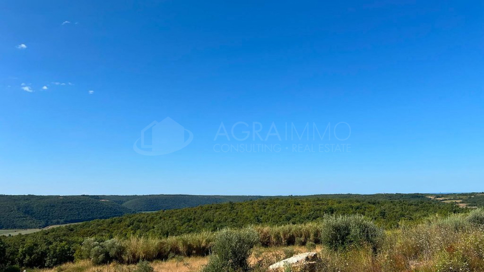 Terreno&comma; 8500 m2&comma; Vendita&comma; Buje - Krasica