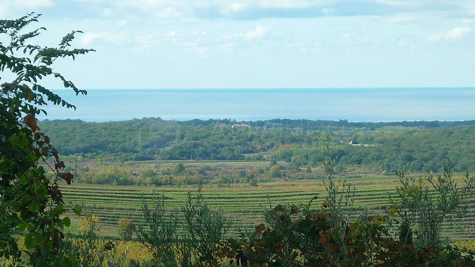BUJE &ndash; BAUGRUNDST&Uuml;CK MIT MEERBLICK&comma; DER NICHT ALLT&Auml;GLICH IST