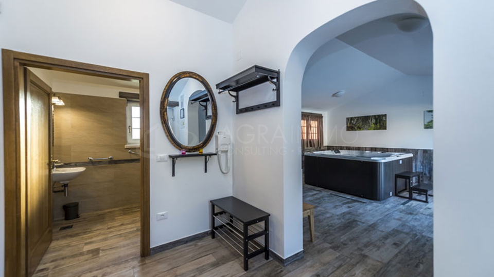House, 300 m2, For Sale, Umag