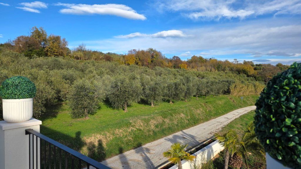 BUJE &ndash; MODERNA VILA - ULAZNICA  U HEDONIZAM ISTRE