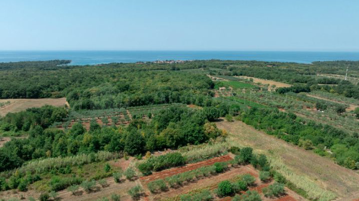 UMAG &ndash; LOVRE&Ccaron;ICA &ndash; A RESIDENCE FOR A LIFE WITHOUT RUSH&comma; WITH VIEWS OF THE SEA&comma; OLIVE GROVES AND THE ISTRIAN LANDSCAPE
