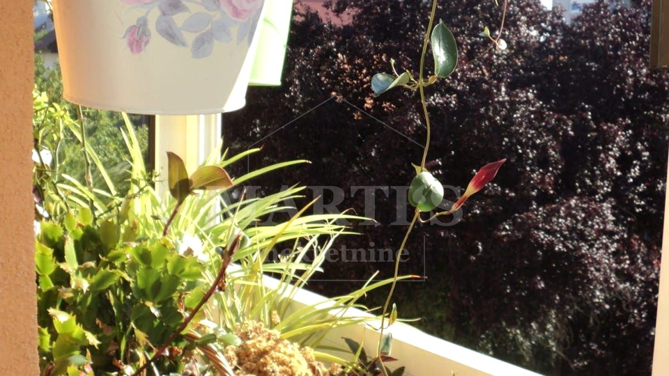 Stanovanje&comma; 55 m2&comma; Prodaja&comma; Tre&scaron;njevka - Sjever - Tre&scaron;njevka