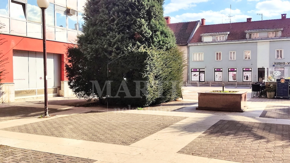 Pisarne, 150 m2, Prodaja, Karlovac - Gospodsko oko