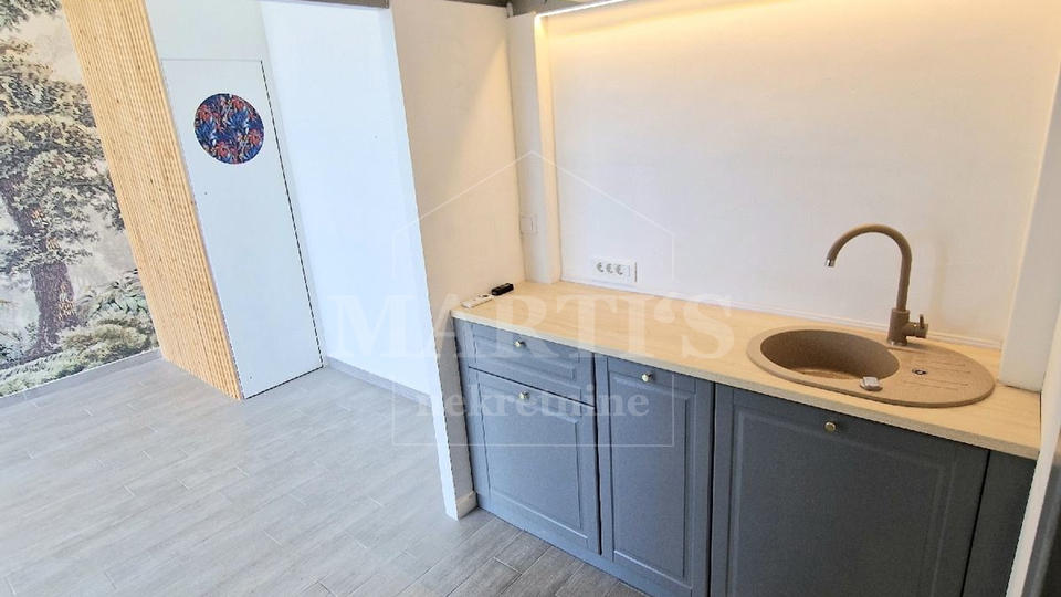 Commercial Property, 43 m2, For Sale, Zagreb - Špansko