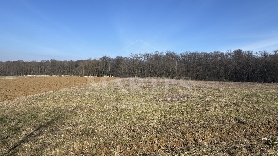 Terreno&comma; 8837 m2&comma; Vendita&comma; Gradec - Cugovec