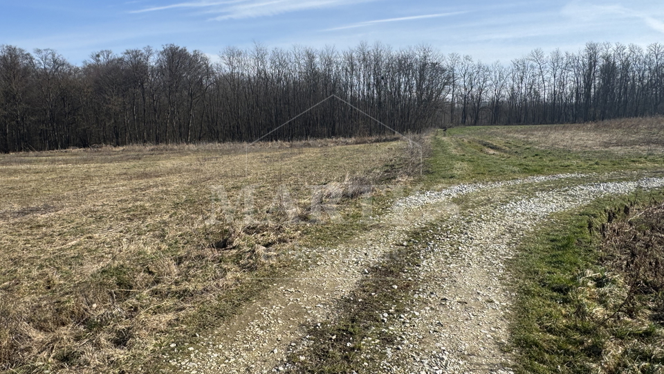 Terreno&comma; 8837 m2&comma; Vendita&comma; Gradec - Cugovec