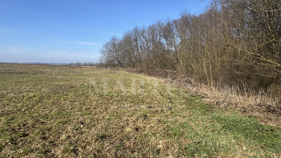 Terreno&comma; 8837 m2&comma; Vendita&comma; Gradec - Cugovec